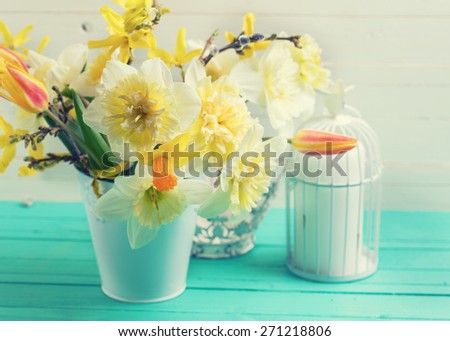 Fresh  spring yellow daffodils, tulip flowers, candle in decorative bird cage  on turquoise  painted wooden planks against white wall. Selective focus. Place for text. Toned image.