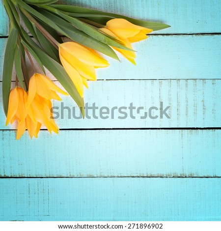Fresh  spring yellow tulips flowers  on  painted wooden background. Selective focus. Place for text. Square image. Toned image.