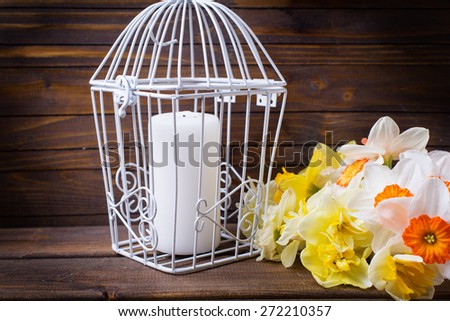 Fresh  spring colorful daffodils  flowers and candle in decorative  bird cage on brown painted wooden planks. Selective focus. Place for text. Romantic background. Toned image.