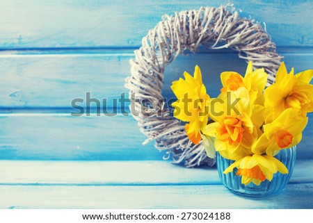 Bright yellow narcissus in vase on blue  painted wooden background. Selective focus. Place for text. Toned image.
