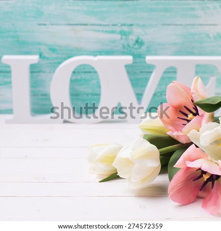 Fresh  white and pink tulips flowers and word love on white  painted wooden background against turquoise wall. Selective focus. Square image.
