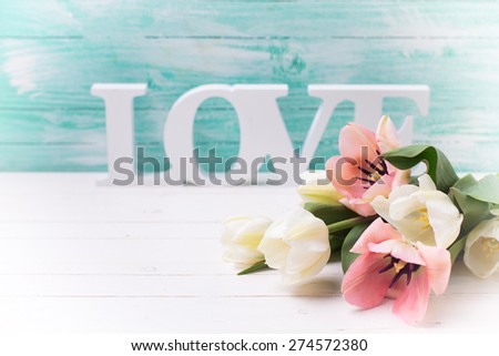 Fresh  white and pink tulips flowers and word love on white  painted wooden background against turquoise wall. Selective focus. Toned image.