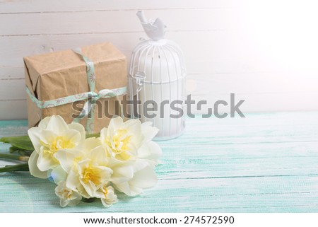 Postcard with fresh  daffodils flowers, candle and gift box on turquoise painted wooden planks. Selective focus. Place for text. Square image.