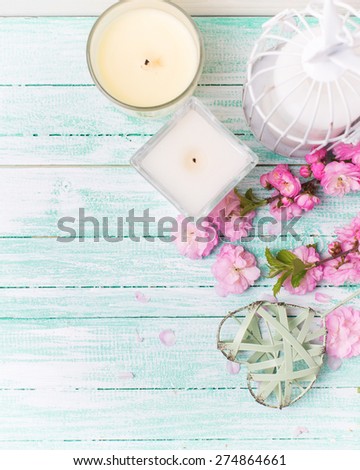 Bright pink   flowers  and candles on turquoise  painted wooden planks. Selective focus. Place for text. image. Toned image.