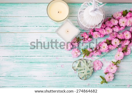 Bright pink   flowers  and candles on turquoise  painted wooden planks. Selective focus. Place for text. image.