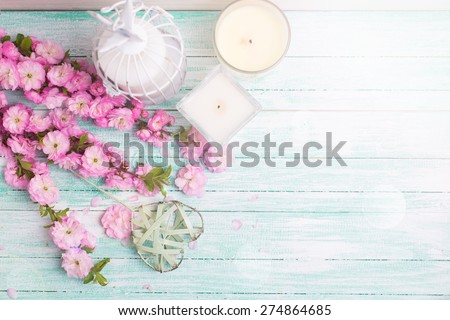 Bright pink   flowers  and candles  in ray of light on turquoise  painted wooden planks. Selective focus. Place for text. image.