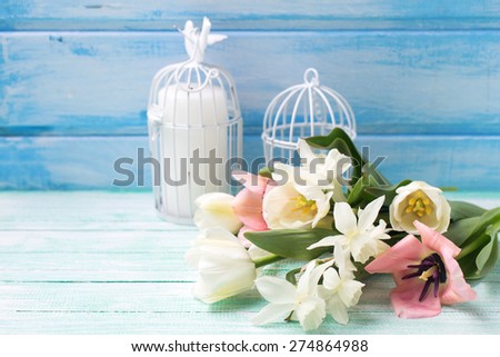 Bright white daffodils and tulips  flowers, candle on turquoise  painted wooden planks against blue wall. Selective focus. Place for text. Square image.