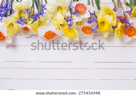 Border from colorful yellow, orange and blue spring flowers  on white  painted wooden planks. Selective focus. Place for text.