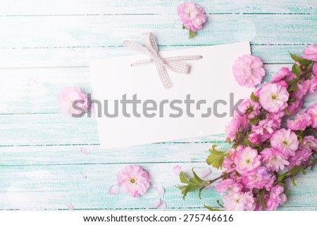 Postcard with empty tag for your text and fresh pink flowers on turquoise painted wooden planks in ray of light . Selective focus is on tag.