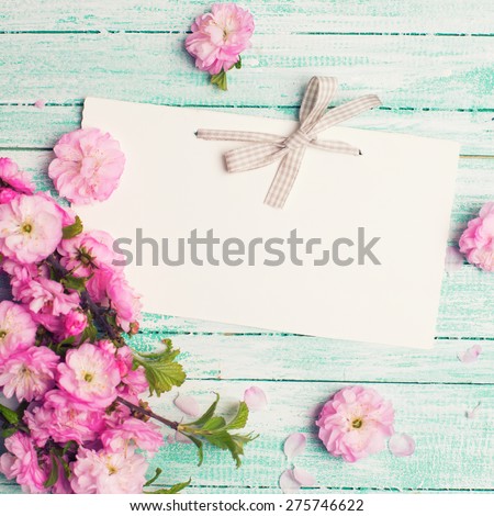 Postcard with empty tag for your text and fresh pink flowers on turquoise painted wooden planks. Selective focus is on tag. Toned image.