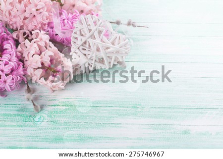 Postcard with fresh pink hyacinths  and  decorative heart in ray of light  on  turquoise painted wooden background. Selective focus is on heart. Place for text.