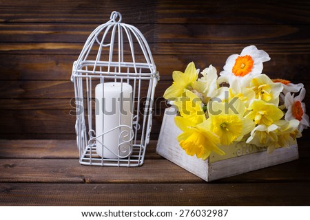 Fresh  spring white and yellow  daffodils  flowers and candle in decorative  bird cage on brown painted wooden planks. Selective focus. Place for text. Toned image.