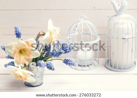Background with fresh spring blue muscaries  and pink daffodils flowers in bucket and candles  on white painted wooden planks. Selective focus. Toned image.