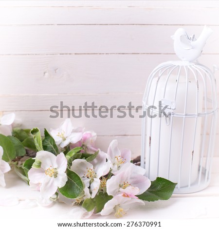Postcard with tender apple blossom and candle in decorative bird cage on white painted wooden background. Selective focus. Square image.