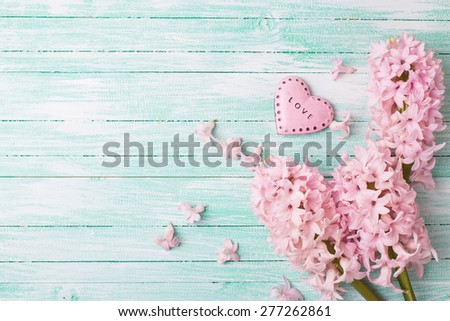 Postcard with fresh flowers hyacinths  and decorative pink  heart on turquoise painted wooden planks. Selective focus. Place for text.