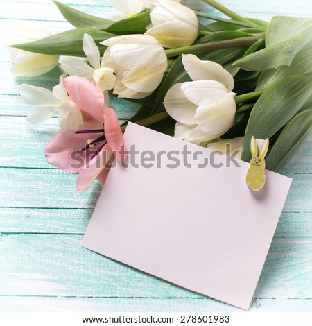 Postcard with pink and white tulips  flowers  and empty tag for text on turquoise  painted wooden background. Selective focus. Place for text. Square image.