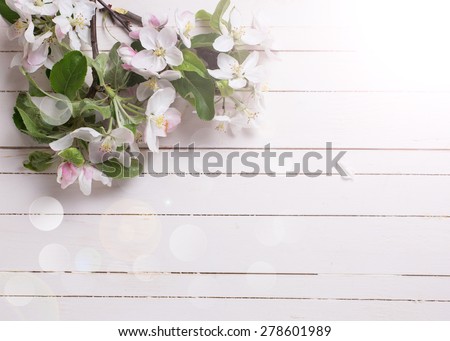 Background with tender apple blossom  in ray of light on white painted wooden  planks. Selective focus.Place for text.
