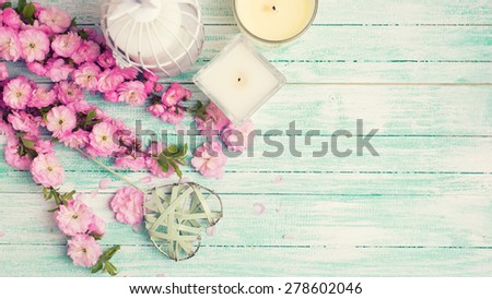 Bright pink   flowers  and candles on turquoise  painted wooden planks. Selective focus. Place for text. Toned image.