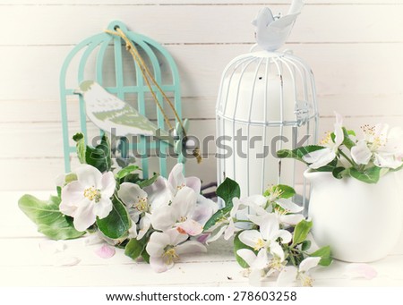 Postcard with tender apple blossom and candle in decorative bird cage on white painted wooden planks. Selective focus. Toned image.