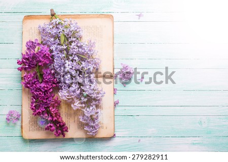 Background  with fresh lilac flowers on open vintage book in ray of light  on turquoise painted wooden planks. Selective focus. Place for text.