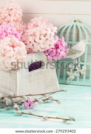 Postcard  with fresh pink  hyacinths in box and willow branches on turquoise painted  wooden planks against white wall. Selective focus. Toned image.