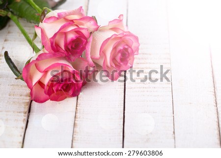 Background with fresh flowers roses in ray of light and empty place  for your text. Roses on white wooden table. Selective focus is on left rose.