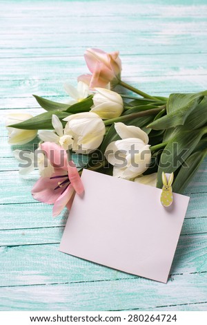 Postcard with pink and white tulips  flowers  and empty tag for text on turquoise  painted wooden background. Selective focus. Place for text.