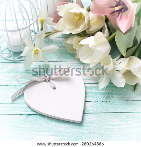 Fresh  spring yellow tulips and narcissus flowers, decorative heart, candles in bird cages on turquoise  painted wooden background. Selective focus. Square image.