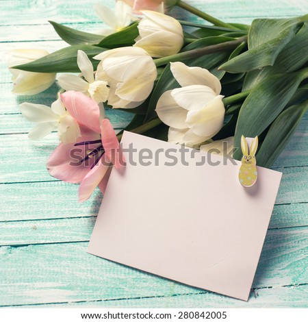 Postcard with pink and white tulips  flowers  and empty tag for text on turquoise  painted wooden background. Selective focus. Place for text. Square image.