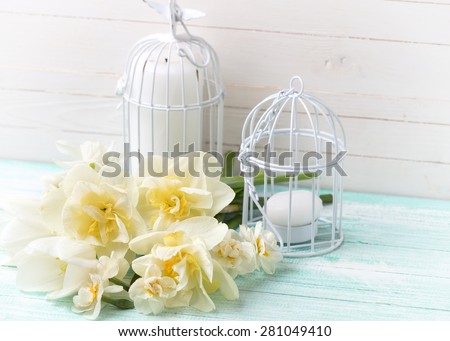 Background with fresh spring flowers tulips and daffodils  and candles in decorative bird cages on turquoise painted planks against white wall. Selective focus. Toned image.
