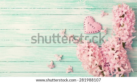 Postcard with fresh flowers hyacinths  and decorative pink  heart on turquoise painted wooden planks. Selective focus. Place for text. Toned image.