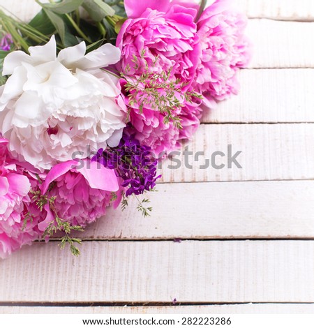 Fresh pink and white peonies flowers on white painted wooden planks. Selective focus. Place for text. Square image.