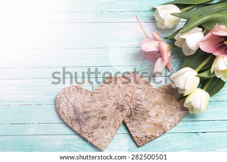 Two decorative hearts and  pink and white and pink tulips  flowers in ray of light  on turquoise  painted wooden background. Selective focus. Place for text.