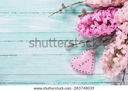 Postcard with fresh pink hyacinths  and  decorative heart  on  turquoise painted wooden planks. Selective focus. Place for text.