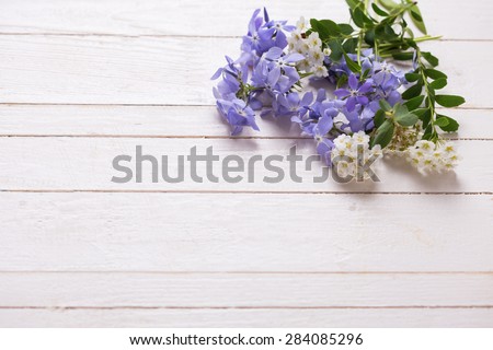 Background with fresh tender blue and white flowers on white painted wooden planks. Selective focus. Place for text.