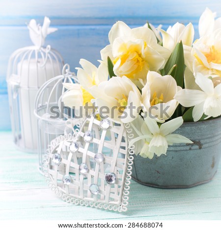Bright white daffodils and tulips  flowers in bucket, decorative heart and candles on turquoise  painted wooden planks against  blue wall. Selective focus. Square image.