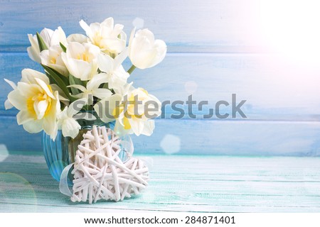 Bright white daffodils and tulips  flowers in blue vase and white heart in ray of light  on turquoise  painted wooden planks against blue wall. Selective focus. Place for text.