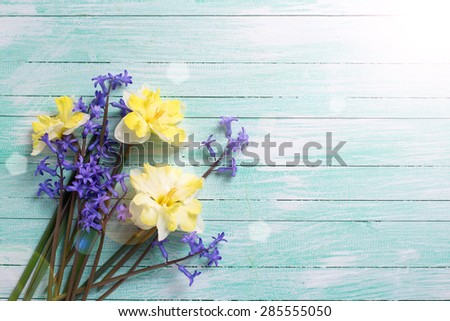 Background with bright colorful yellow and blue spring flowers in ray of light  on turquoise  painted wooden planks. Selective focus. Place for text.