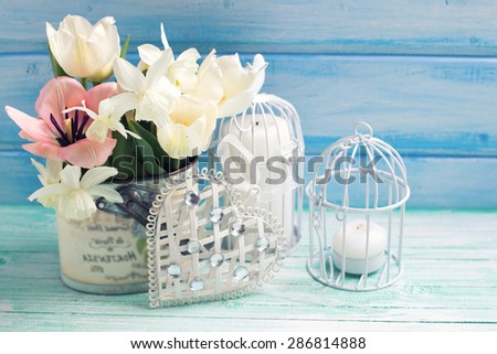 Bright white daffodils and tulips  flowers, candle on turquoise  painted wooden planks against blue wall. Selective focus. Place for text. Toned image.
