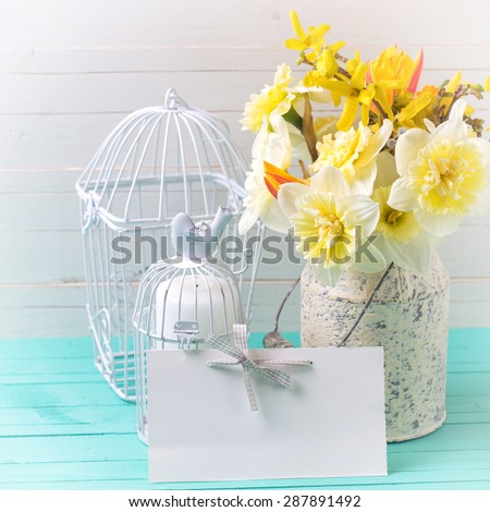 Fresh  yellow daffodils flowers,  candles in decorative bird cages and  empty tag on turquoise  painted wooden planks against white wall. Selective focus. Place for text. Square image.