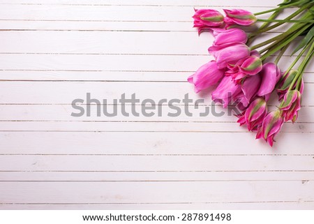 Fresh pink  tulips  on white  painted wooden background. Selective focus. Place for text.