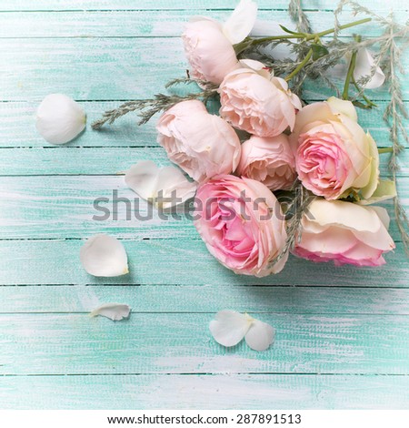 Fresh roses flowers on turquoise painted wooden background. Selective focus. Place for text. Square image.