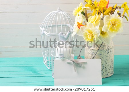 Fresh  yellow daffodils flowers,  candles in decorative bird cages and  empty tag on turquoise  painted wooden planks against white wall. Selective focus. Place for text. Toned image.