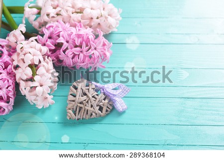 Fresh hyacinths  and  decorative heart in ray of light  on  turquoise wooden background. Selective focus is on heart. Place for text.