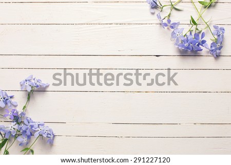 Background with fresh tender blue flowers on white wooden planks. Selective focus. Place for text. Toned image.