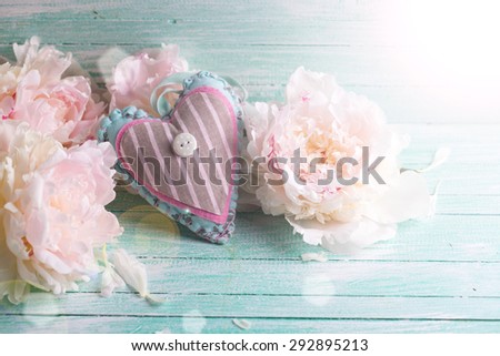 Decorative heart and sweet pink peonies  flowers  in ray of light on turquoise painted wooden background. Selective focus. Floral still life.