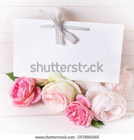 Pastel roses  and empty tag  on white  wooden background. Place for text. Selective focus. Square image.