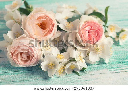 Pastel  roses and jasmine on turquoise wooden background.  Selective focus is  on right  rose. Toned image.