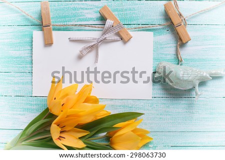Postcard with fresh  spring yellow tulips and empty tag on clothes line on turquoise painted wooden planks. Selective focus. Place for text. Toned image.
