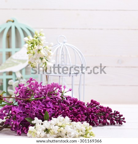 Fresh white and violet lilac flowers and candle on white painted wooden planks. Selective focus. Place for text. Square image.